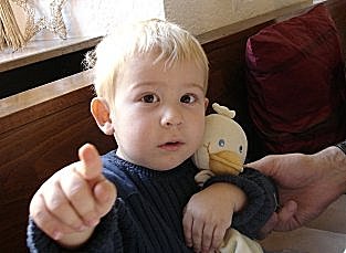 Nemo mit Schlafente im Gasthaus