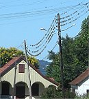 Epiphythen breiten sich hier sogar auf der Telefonleitung aus. Ob die das Telefon anzapfen?