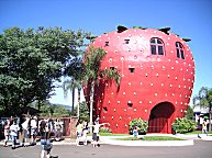 Das Wahrzeichen von Bom Prinzipio: die Erdbeere