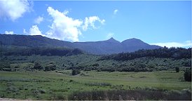 Palmenhain am Hel vorn