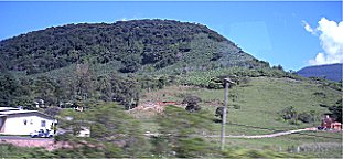 Bananenplantage am Hang