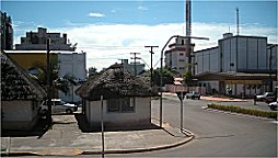 Typisch ist diese Schilfdeckung nicht! 