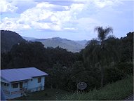 Huschen in Abendstimmung