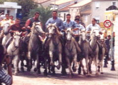 Vexierbild: wo ist der Stier?